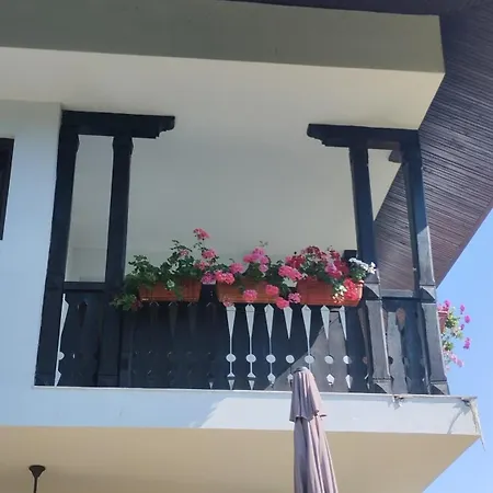 гери2 アルバナシ