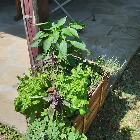 гери2 Feriehus Arbanasi