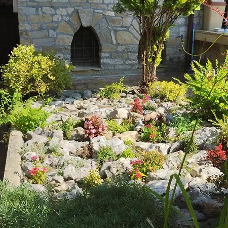 гери2 * Arbanasi