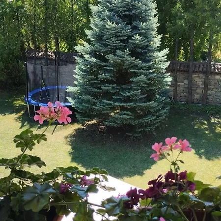 гери2 * Arbanaszi