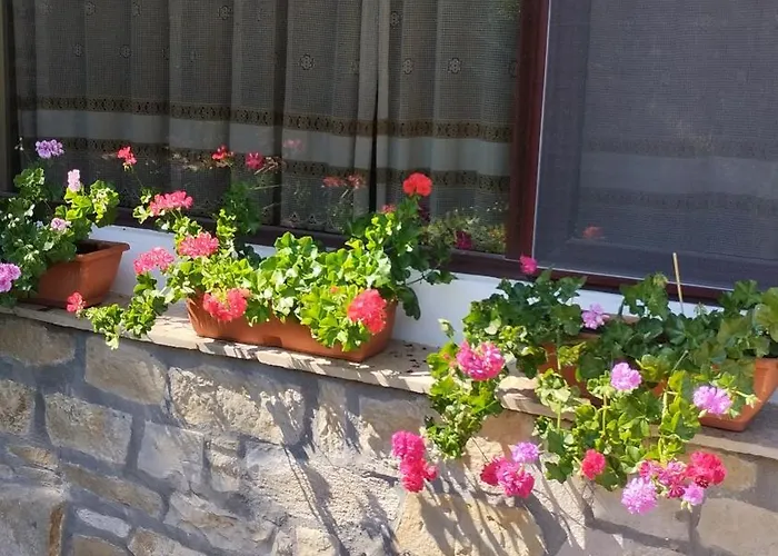 гери2 * Arbanasi