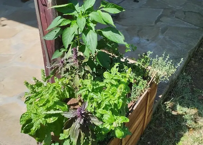 гери2 Feriehus Arbanasi